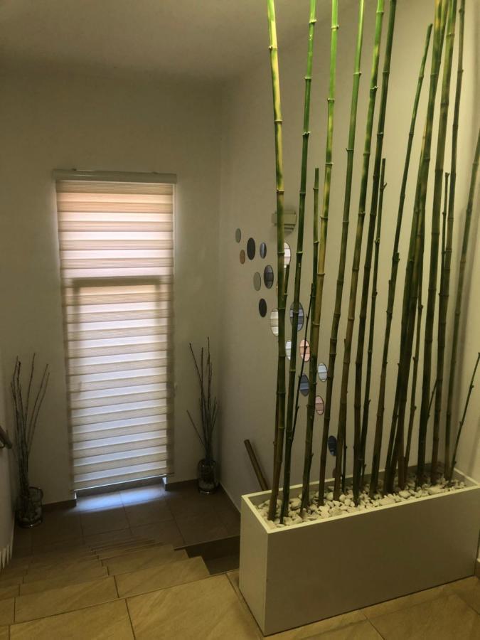 Apartments Dunja 诺威萨 外观 照片