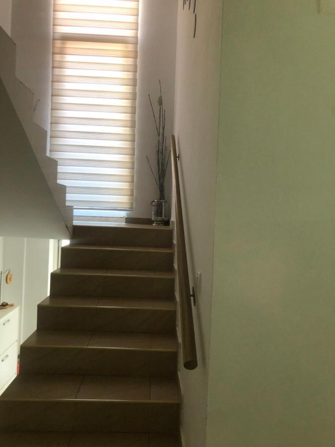 Apartments Dunja 诺威萨 外观 照片